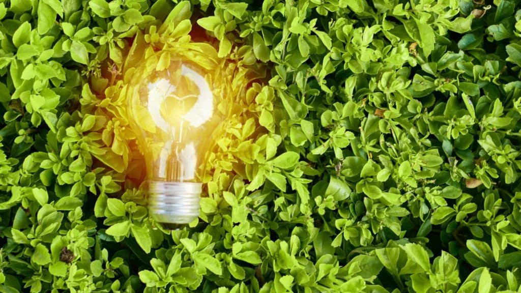 Introduction to eco-innovation